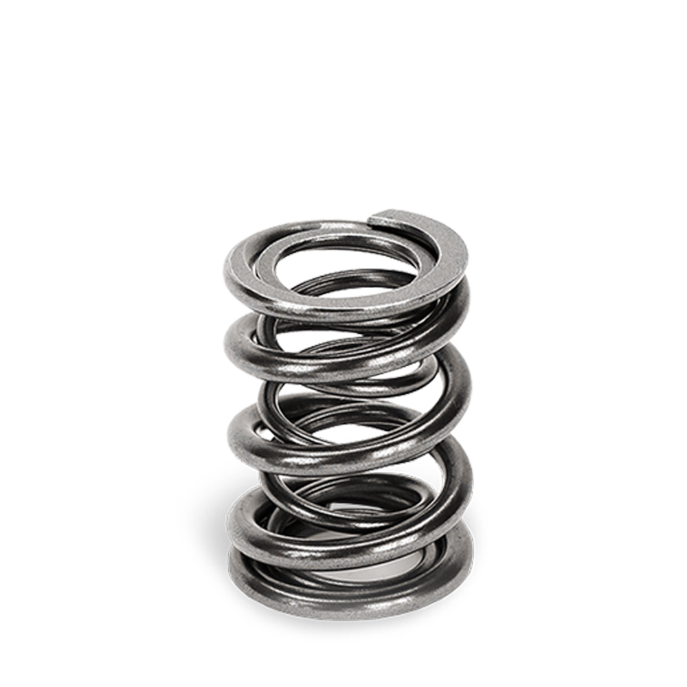 Dual Valve Spring