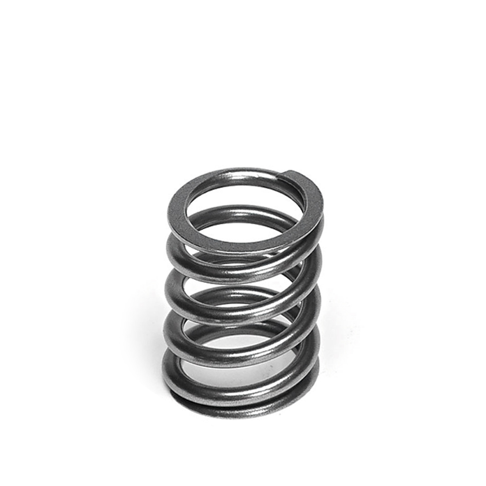 Single Valve Spring