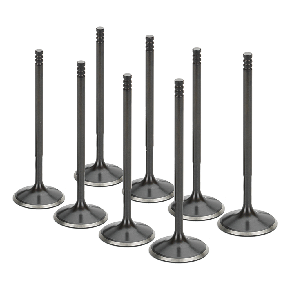 Black Nitride Intake Valves