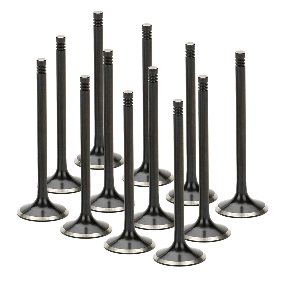 Black Nitride Exhaust Valves