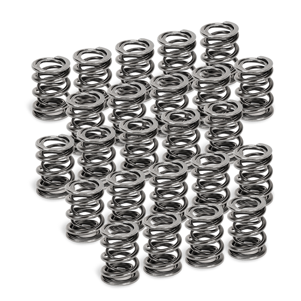 Dual Valve Springs