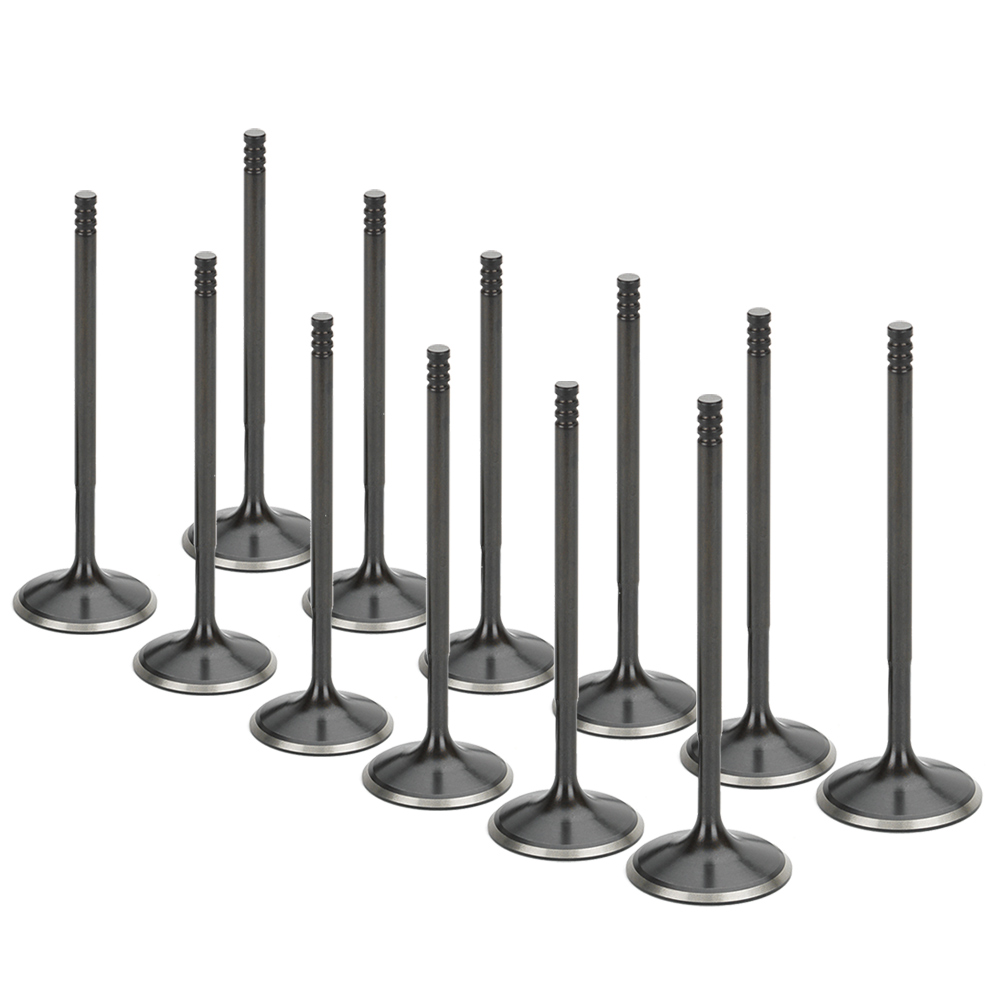 Black Nitride Intake Valves