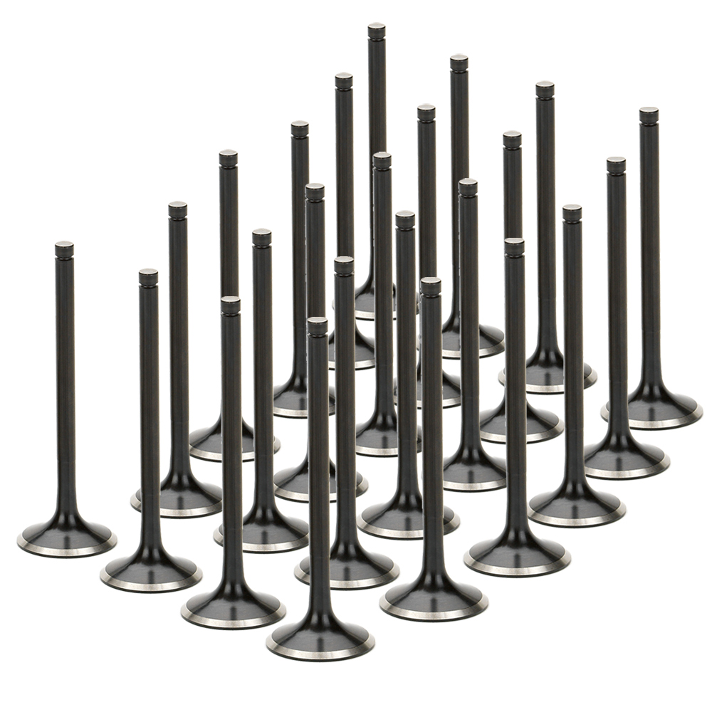 Black Nitride Exhaust Valves