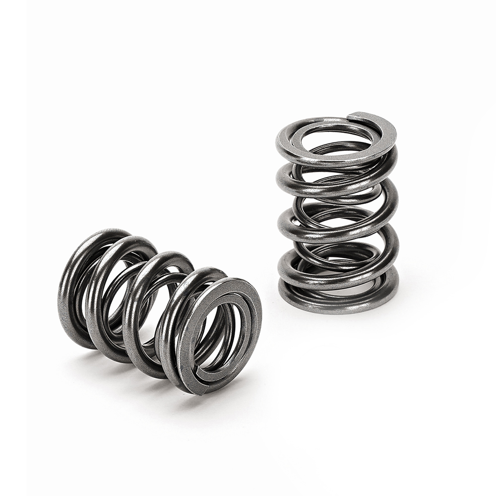 Dual Valve Spring