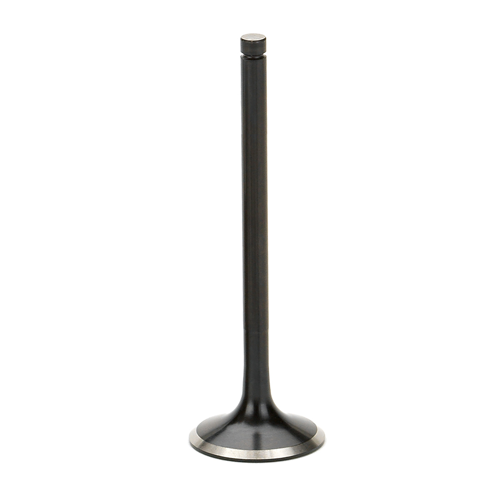 Black Nitride Exhaust Valve