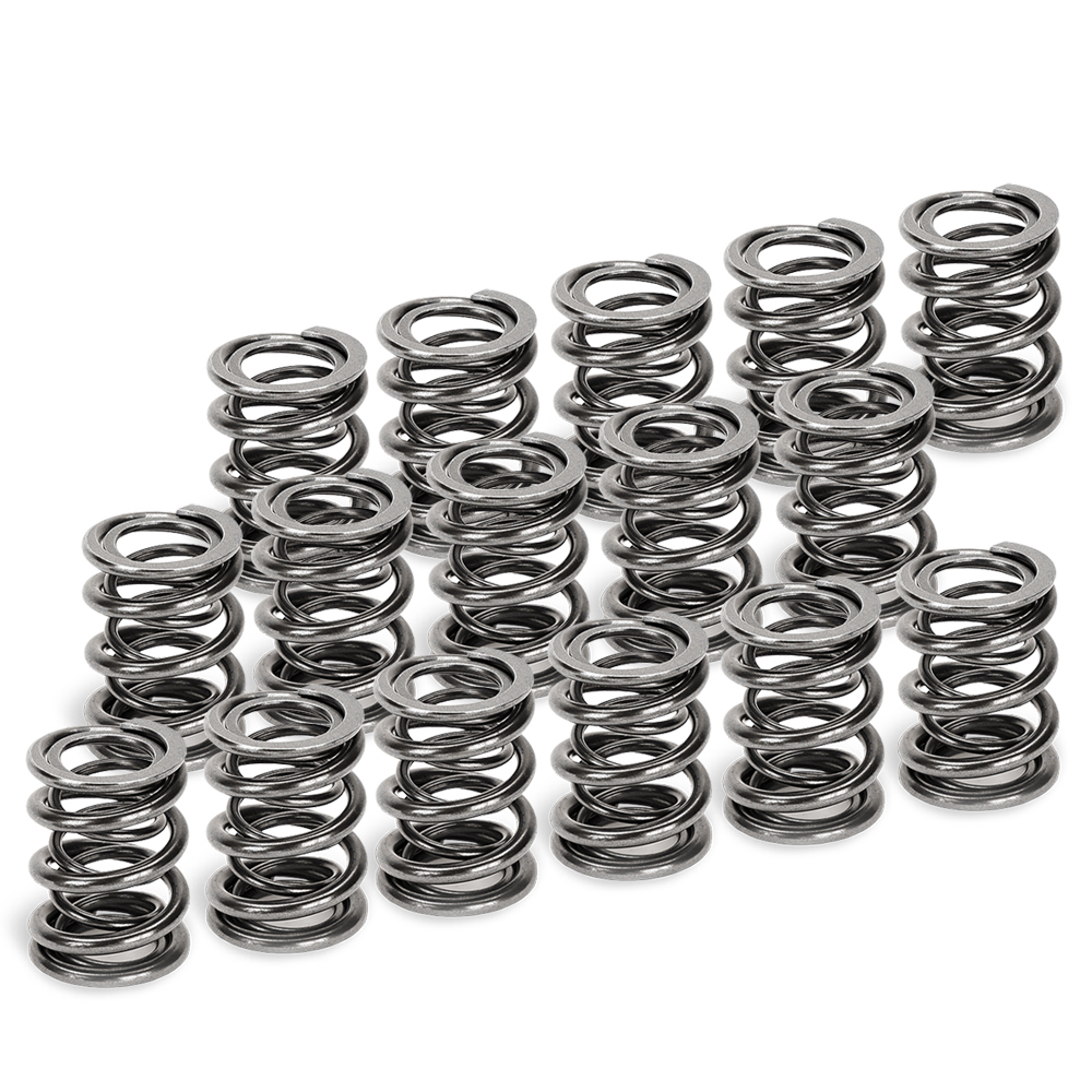 Dual Valve Springs