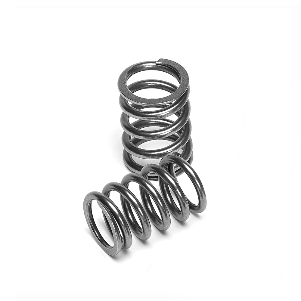 Single Valve Springs