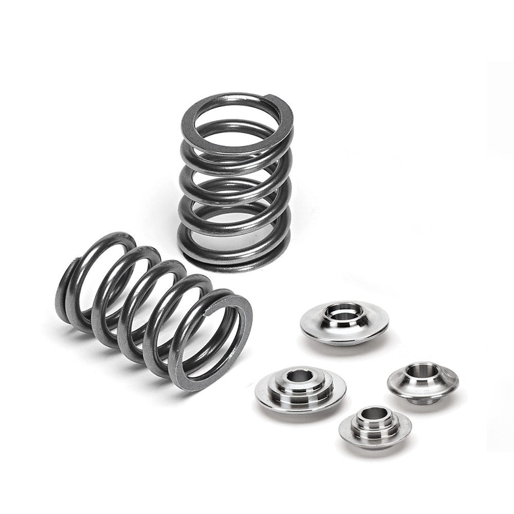 Single Valve Spring Kit