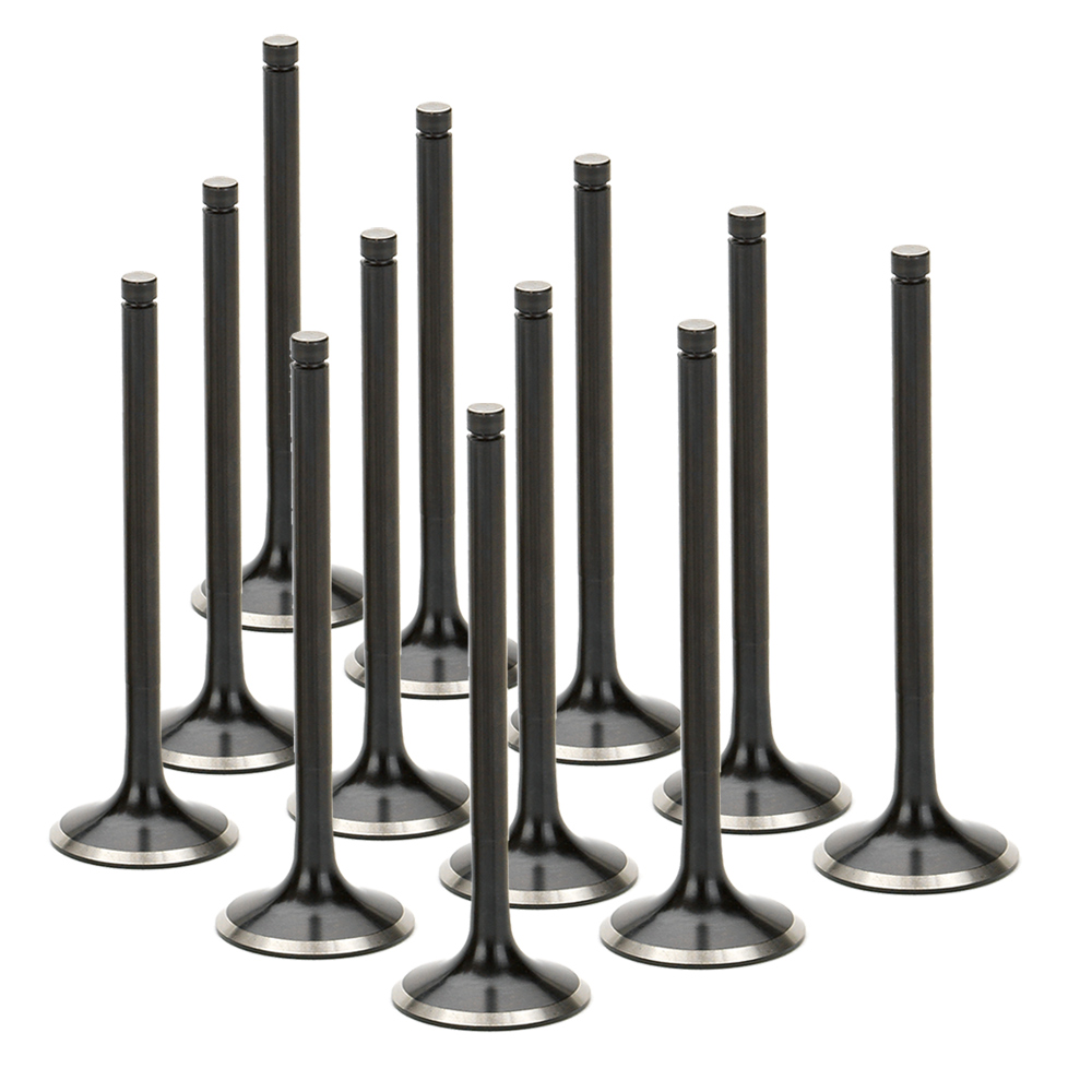 Black Nitride Exhaust Valves