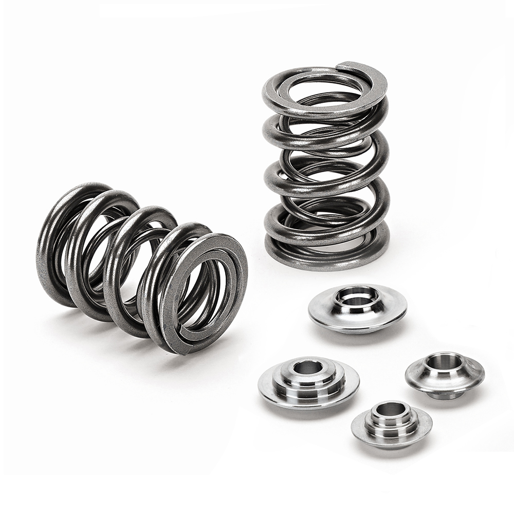 Dual Valve Spring Kit