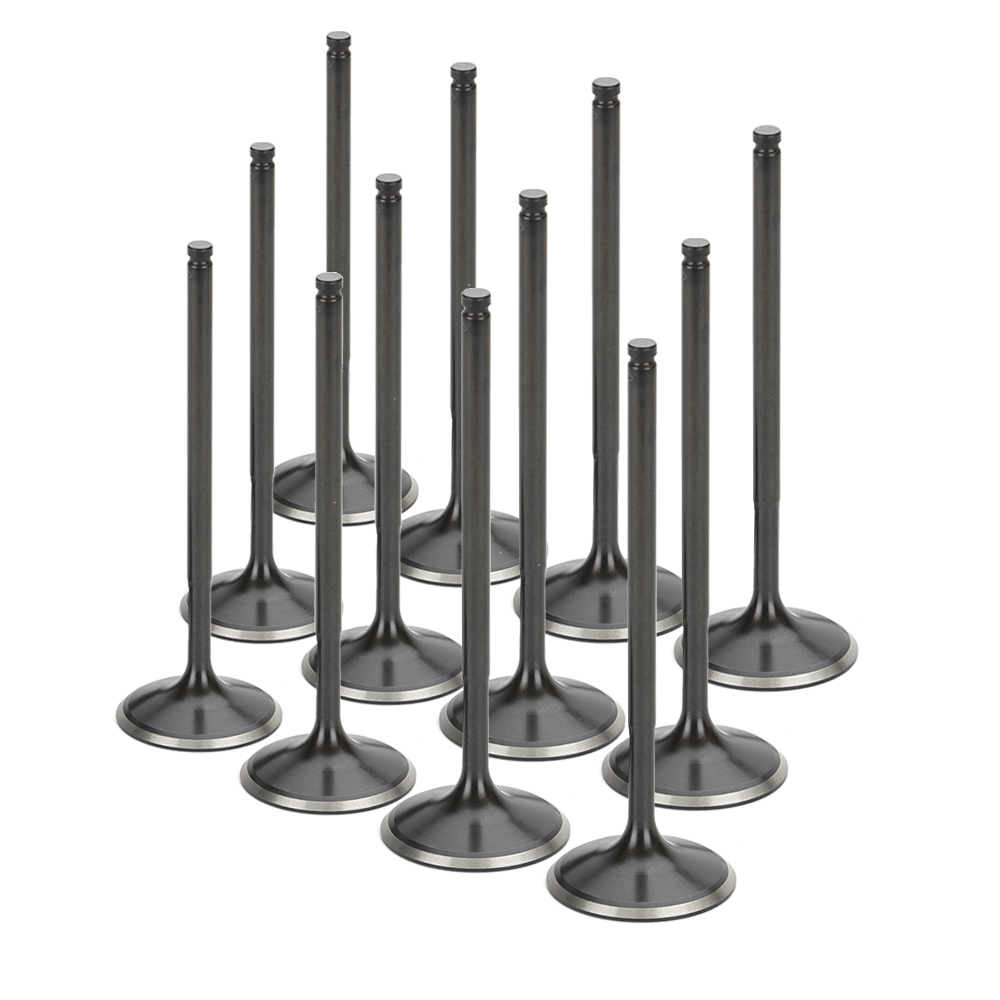 Black Nitride Intake Valves