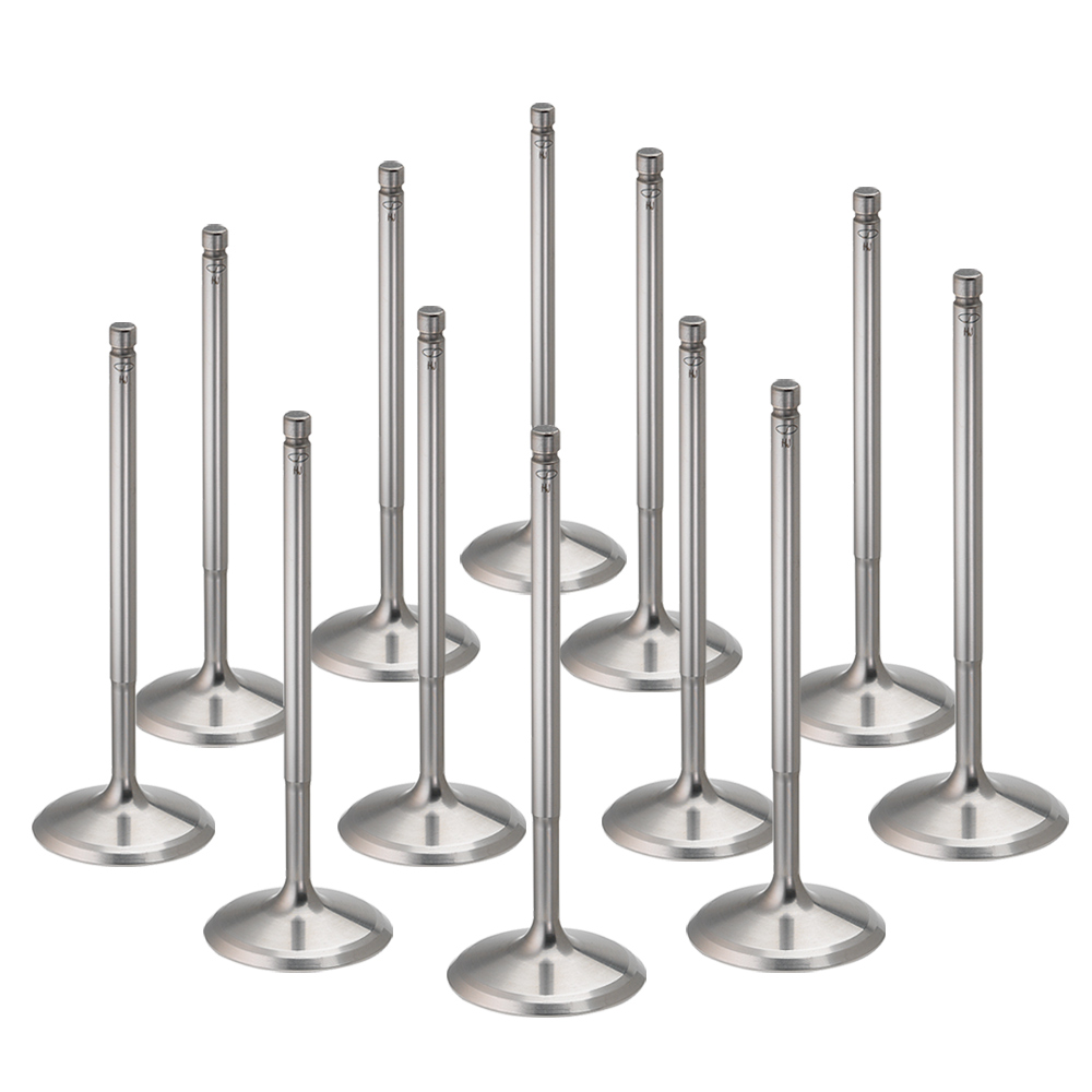 Titanium Intake Valves