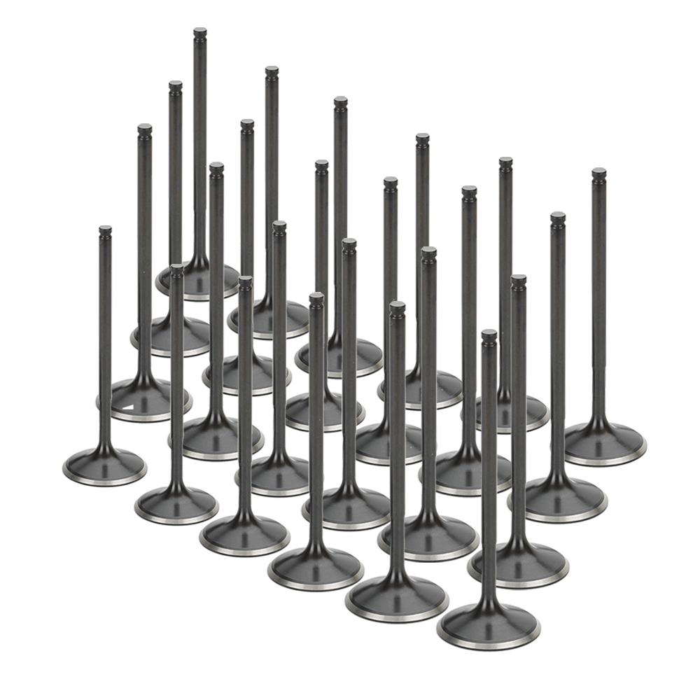 Black Nitride Intake Valves