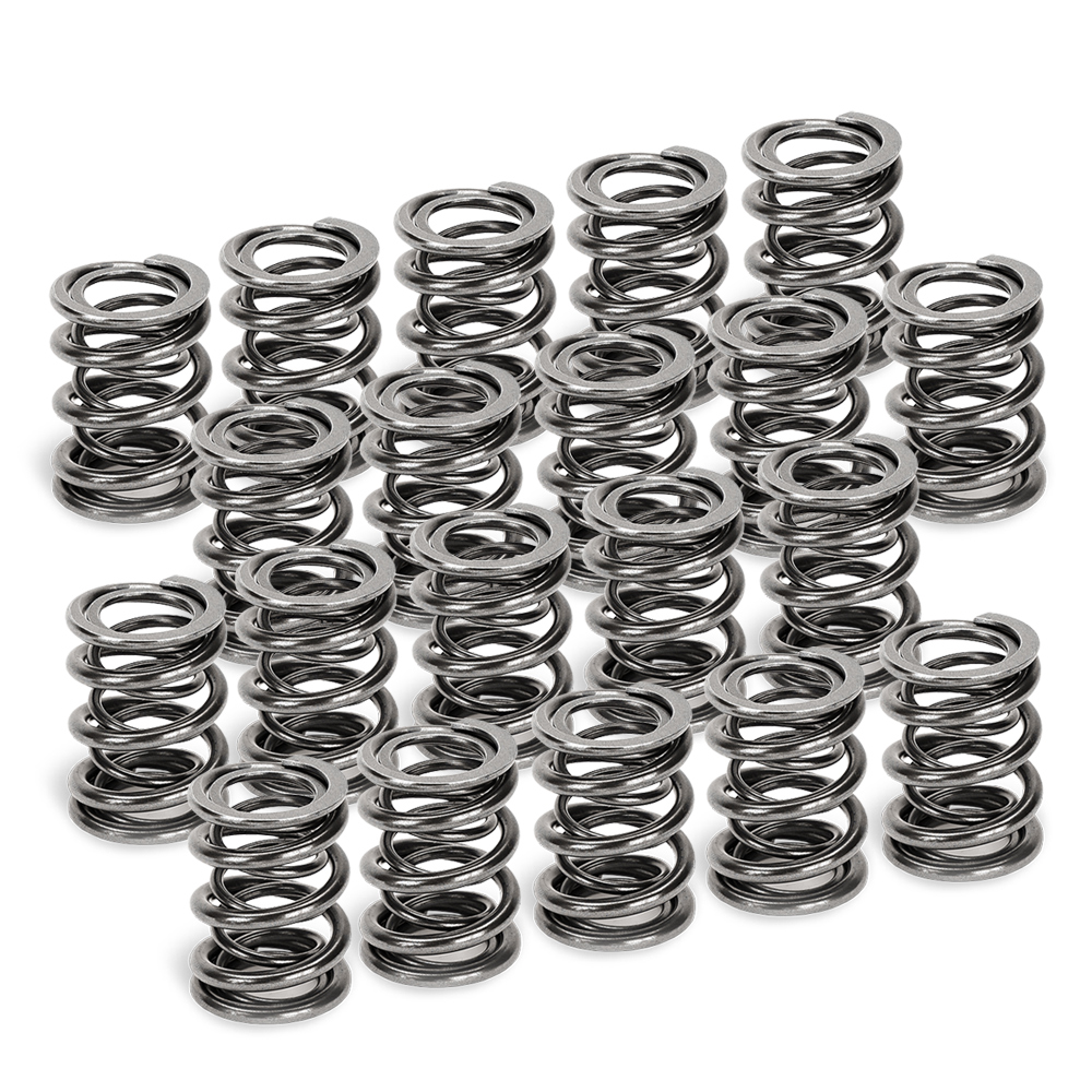 Dual Valve Springs