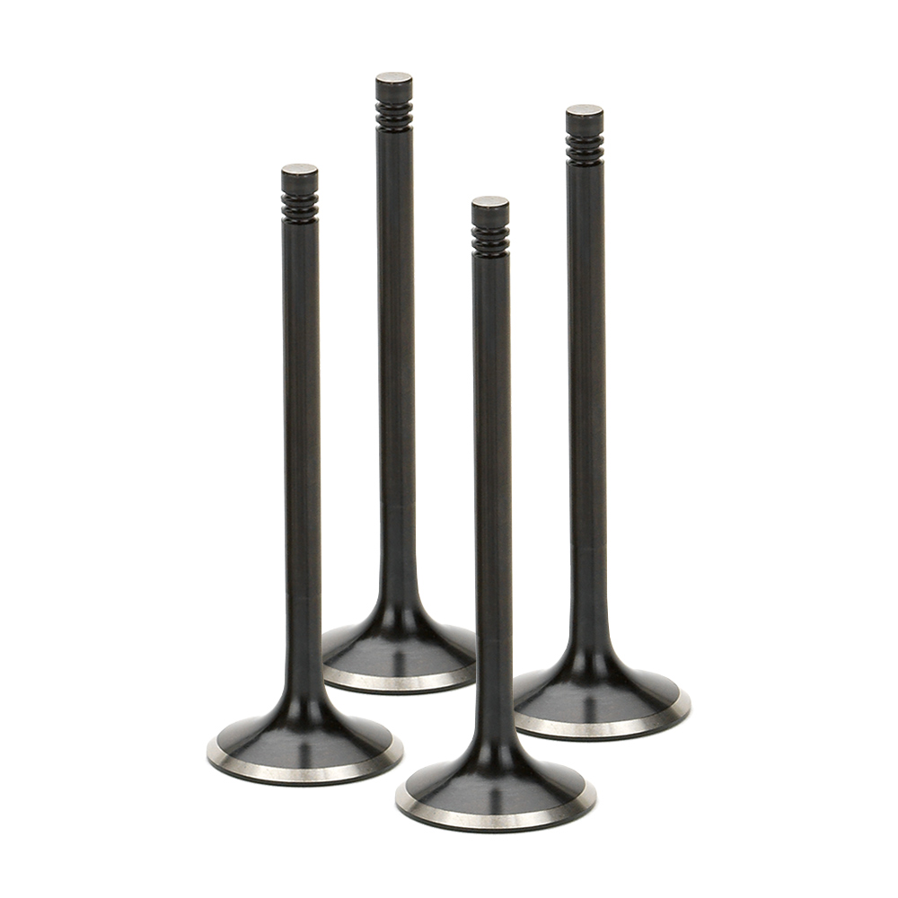 Black Nitride Exhaust Valves