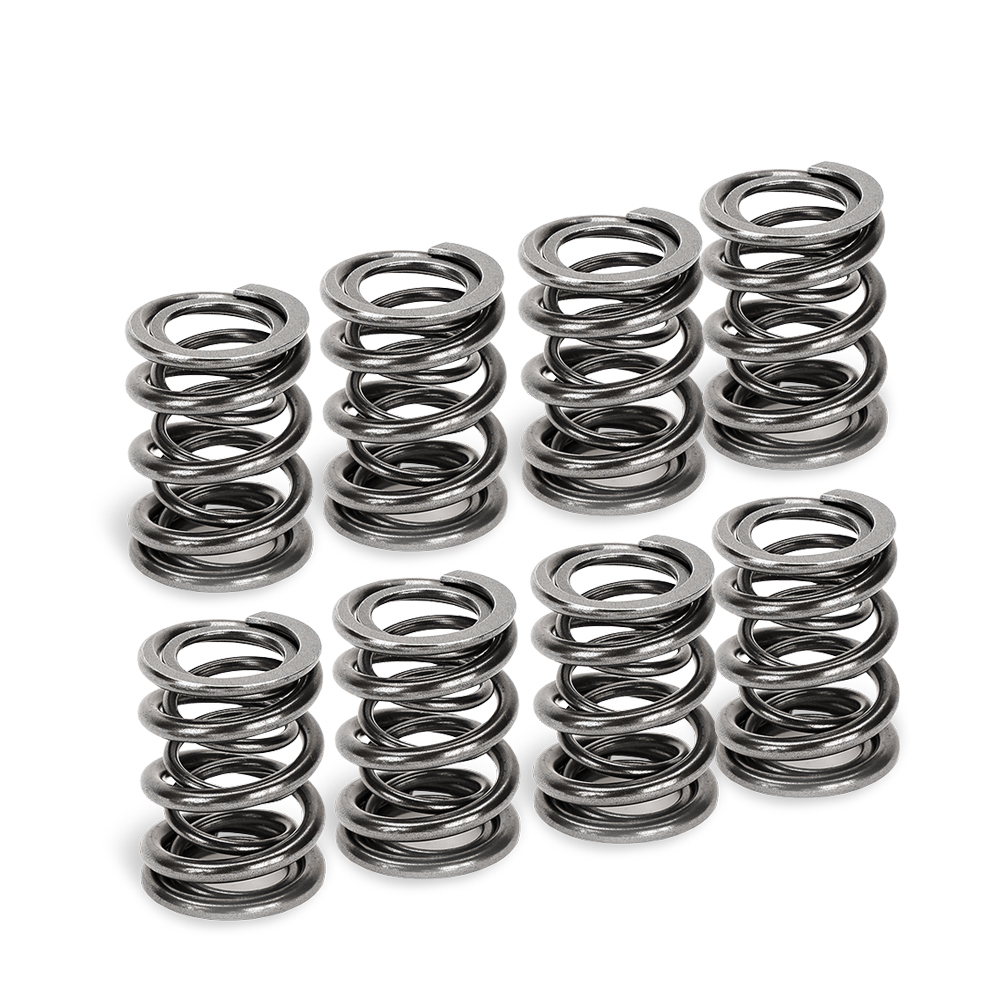 Dual Valve Springs