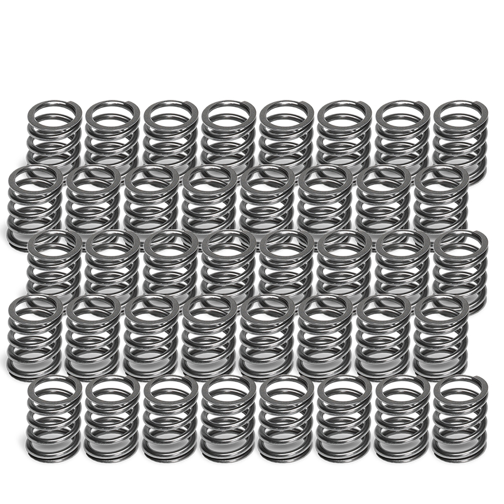 Single Valve Springs